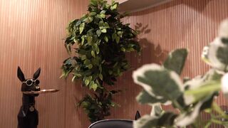コンカフェ店長のセクハラ面接記録...16 jvip