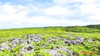 南国リゾートで美人人妻と生ハメ中出し旅行 ～何度も子宮に欲しがる中出しおねだりSEX～ jvip 01