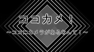 【再販】【再販】【隠撮】超絶可愛いOL美人セラピストさん！おもちゃオプション導入で７度逝き！たまらず無料ご奉仕フェラも！【あずさ22歳# jvip