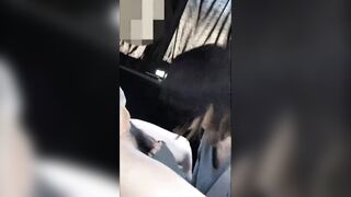 【素人】車内フェラチオ12 jvip 01