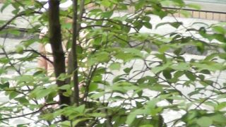 Kt-joker nhs18_00-nhs23_00 voyeur jp 150526 01