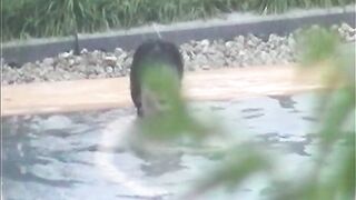 【素人】望遠温泉旅館★宿泊客のゆったり午後風呂♥入浴 パート19 voyeur jp 180526