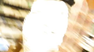 無【５0名収録】洋式と和式を、様々な方向から撮影した映像集 voyeur jp 180526