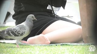 グリーンパークへようこそ119 voyeur jp 01-240526