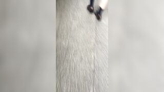 お嬢様シリーズpart3 淑女見習いの勤勉なる生活 品のいい女の子2 voyeur jp